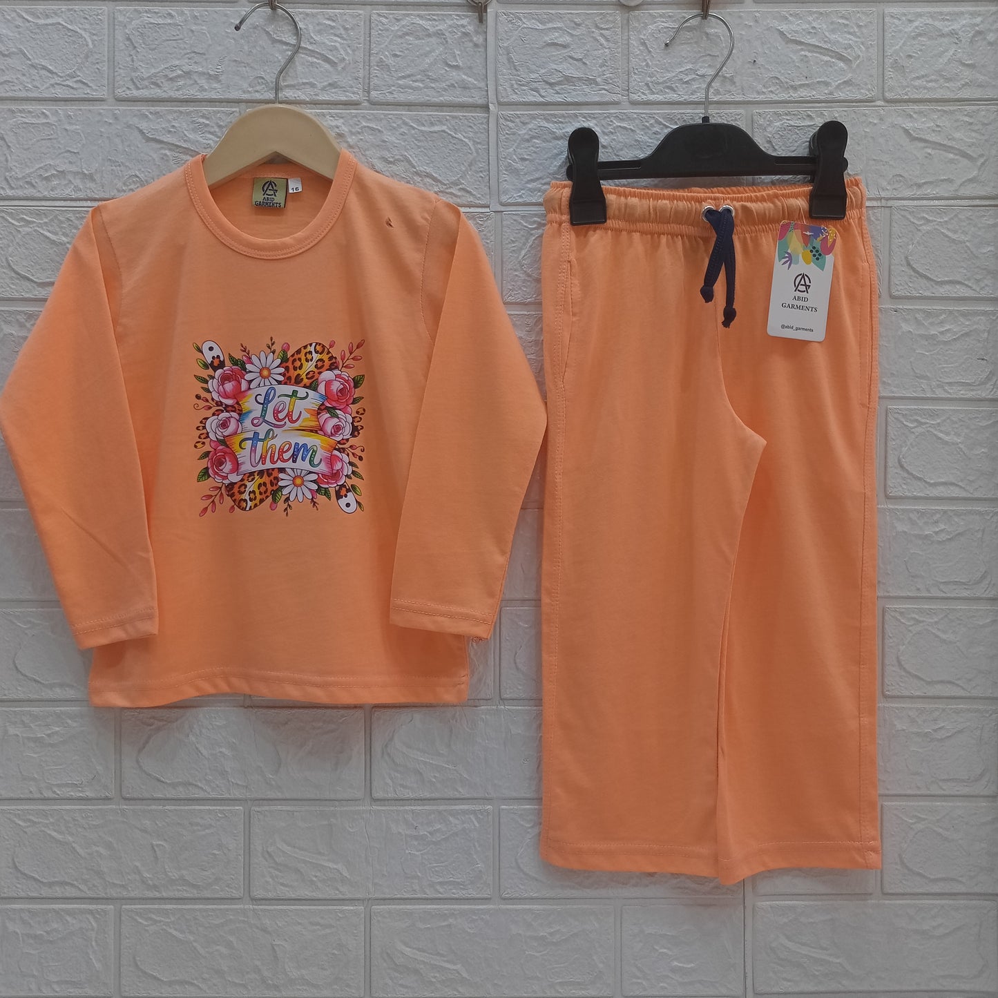 Peach-Basic Full Sleeves Dress
